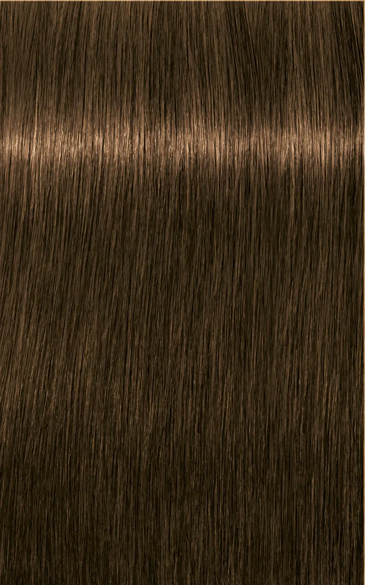 Schwarzkopf Igora Royal Absolutes - 4-60 Castano Medio Cioccolato Naturale