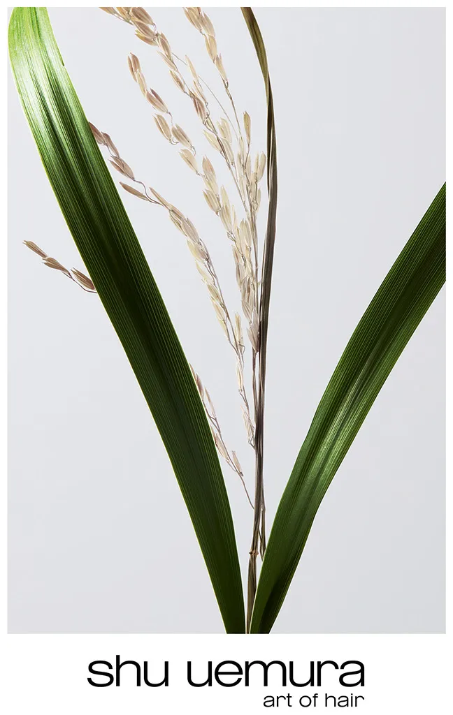 Shu Uemura Ultimate Reset Shampoo - 300 ml