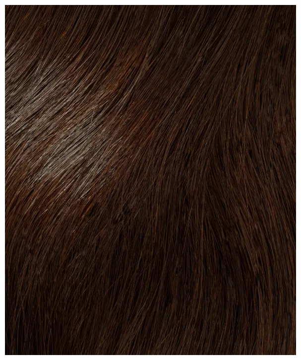 InterHair Extensions 35cm - Color 01