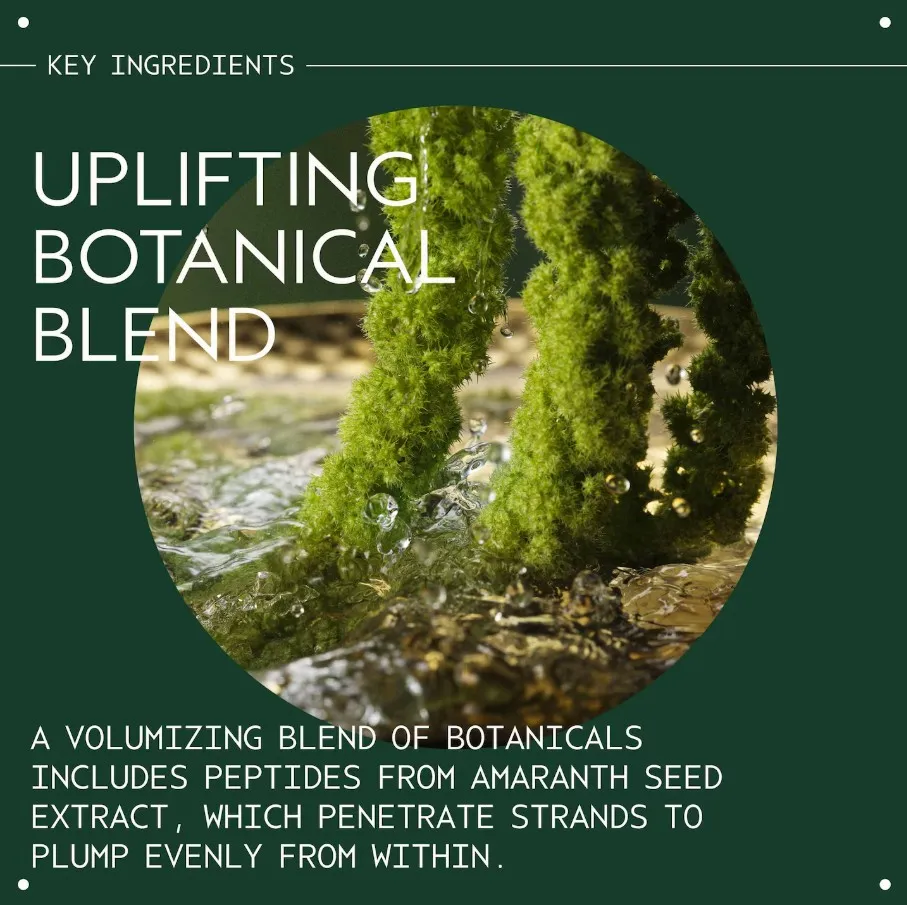 Aveda Pure Abundance Shampoo Volumizzante