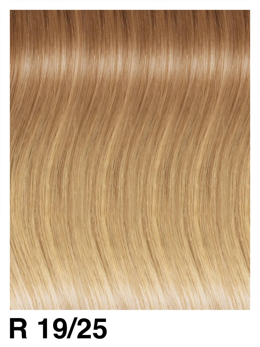 SHE Clip System Beverly Extensions Rooted 45/50 cm