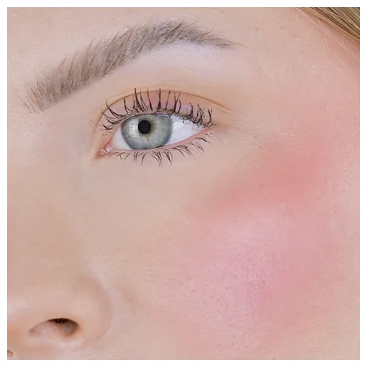 Fleeky Blush Stick - Blossom