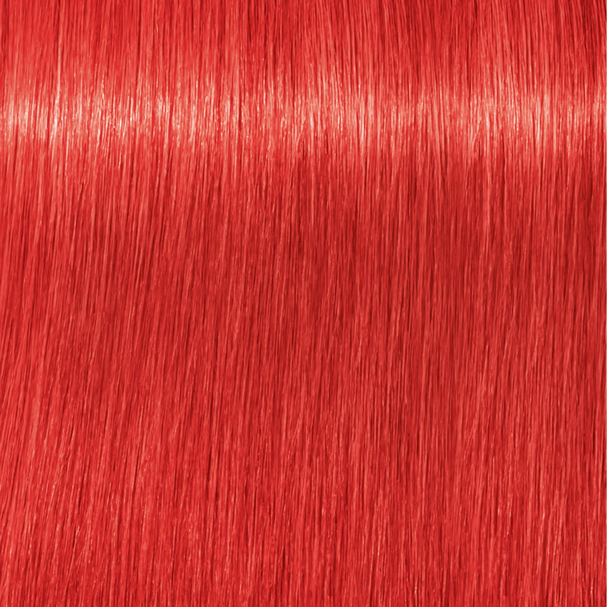 Schwarzkopf Igora Royal Mix - E-1 Rinforzatore Cendrè