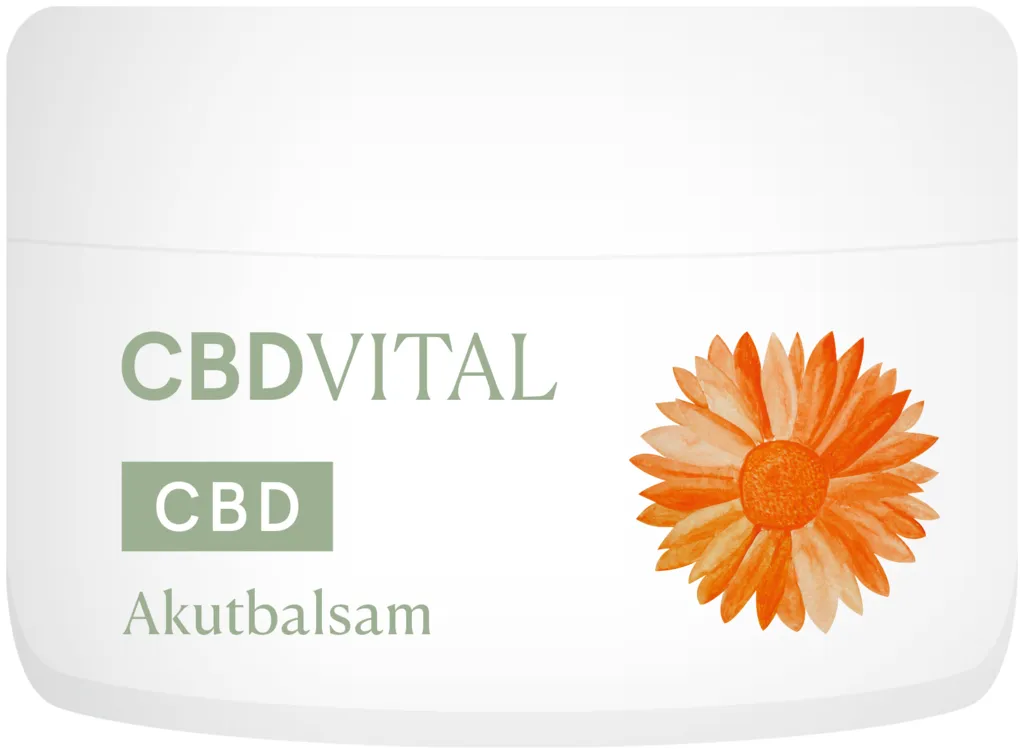 CBD VITAL Balsamo Acuto