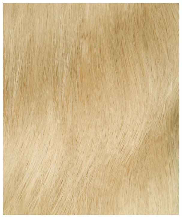 InterHair Extensions 35cm - Color 01