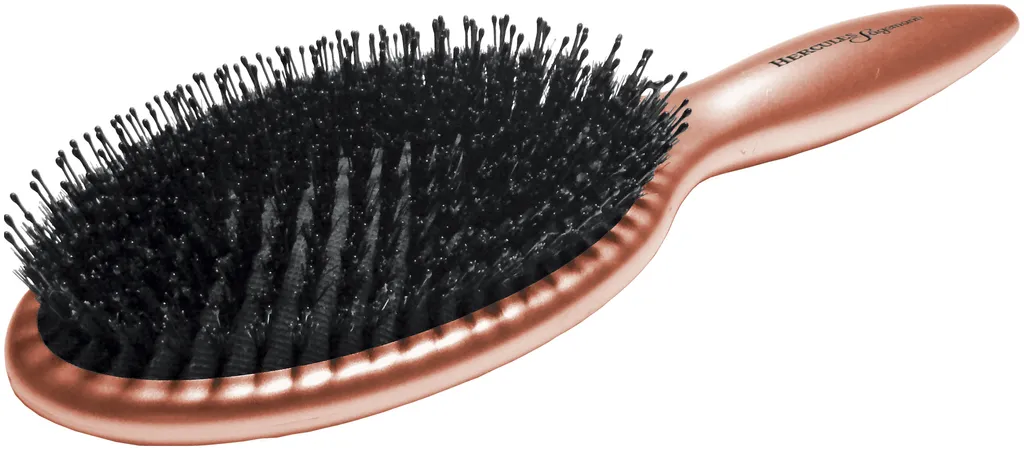 Hercules Sägemann spazzola per la cura 9140