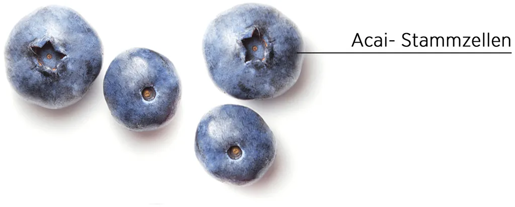 System Professional Lipid Code Inessence Shampoo - 250 ml