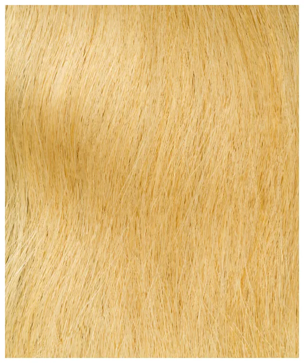 InterHair Extensions 35cm - Color 01