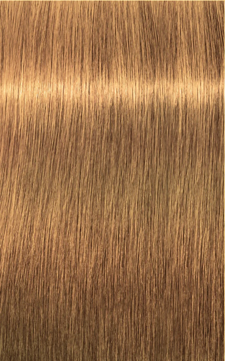 Schwarzkopf Igora Royal Absolutes - 4-60 Castano Medio Cioccolato Naturale
