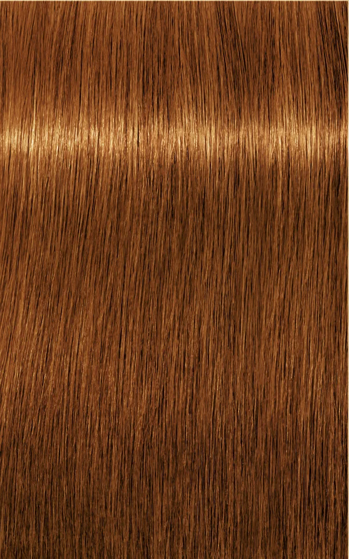 Schwarzkopf Igora Royal Absolutes - 4-60 Castano Medio Cioccolato Naturale