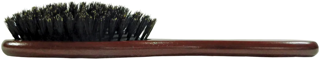 Hercules Sägemann Spazzola in legno 9645