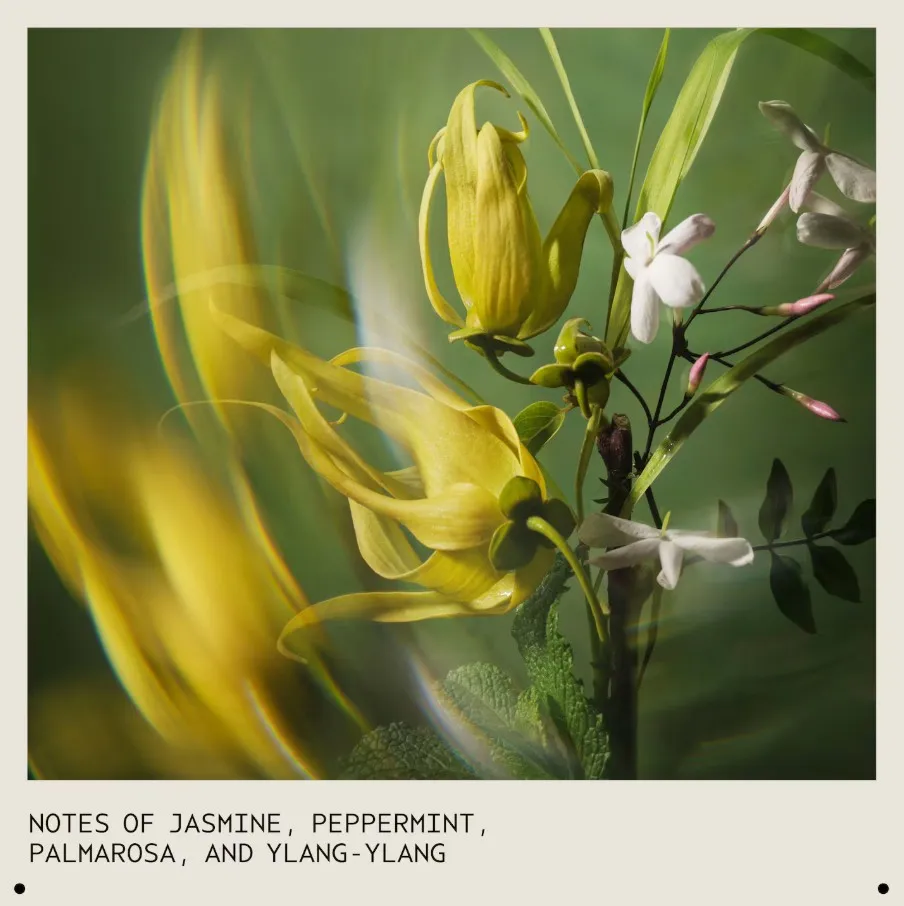 Aveda Pure Abundance Shampoo Volumizzante