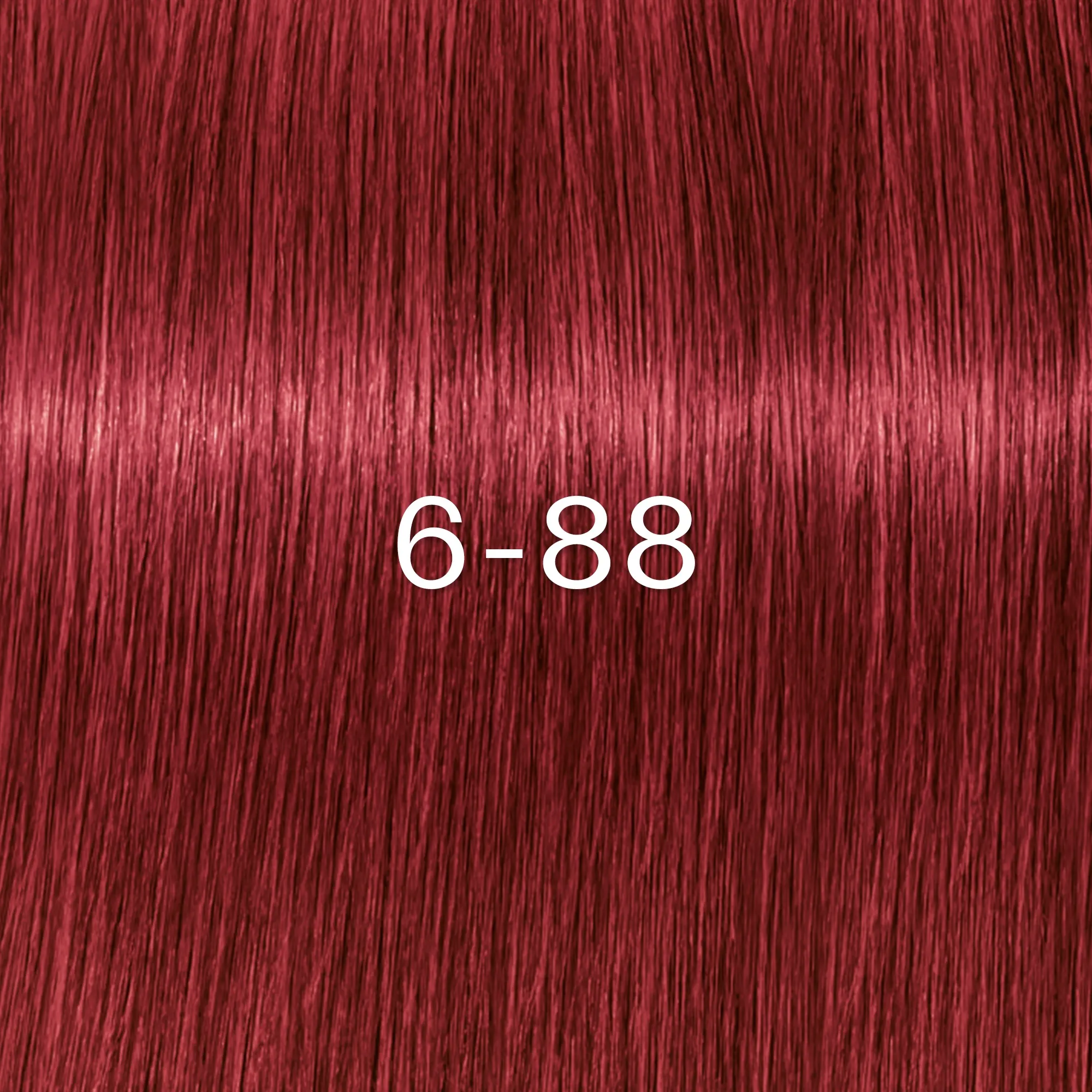 Schwarzkopf Igora Zero Amm - 4-0 Castano Medio Naturale