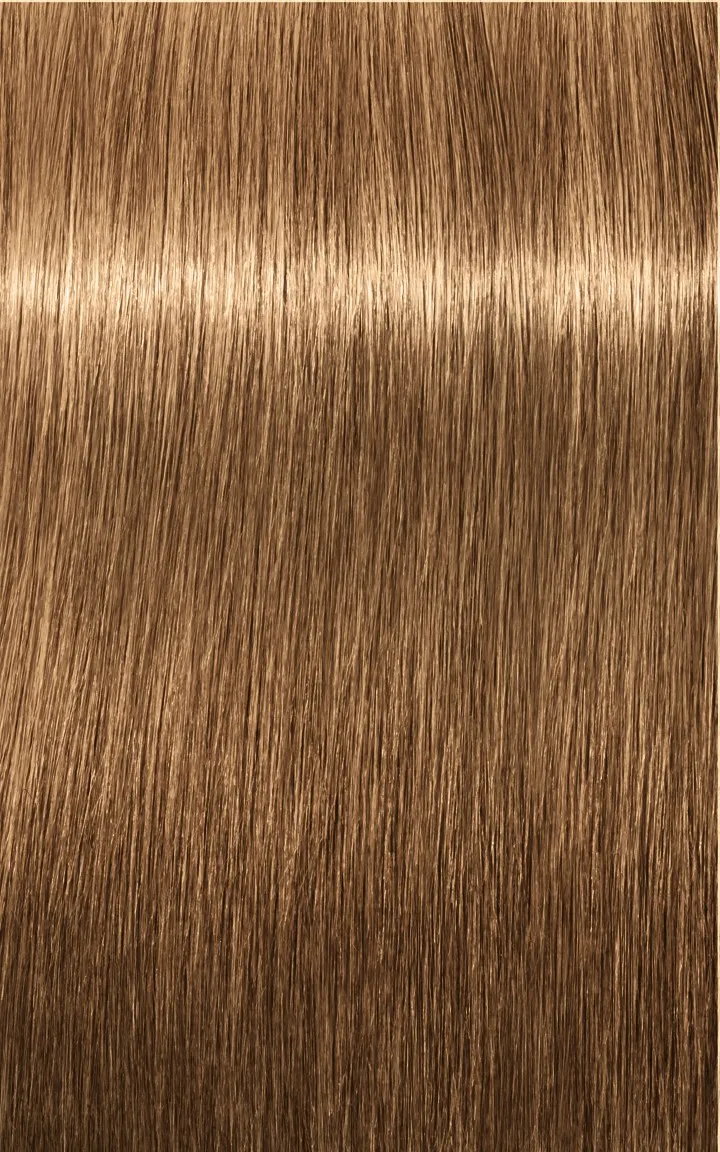 Schwarzkopf Igora Royal Absolutes - 4-60 Castano Medio Cioccolato Naturale