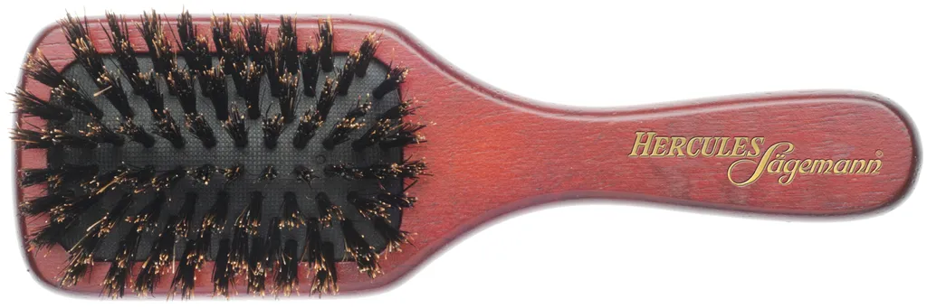 Hercules Sägemann paddle brush - S