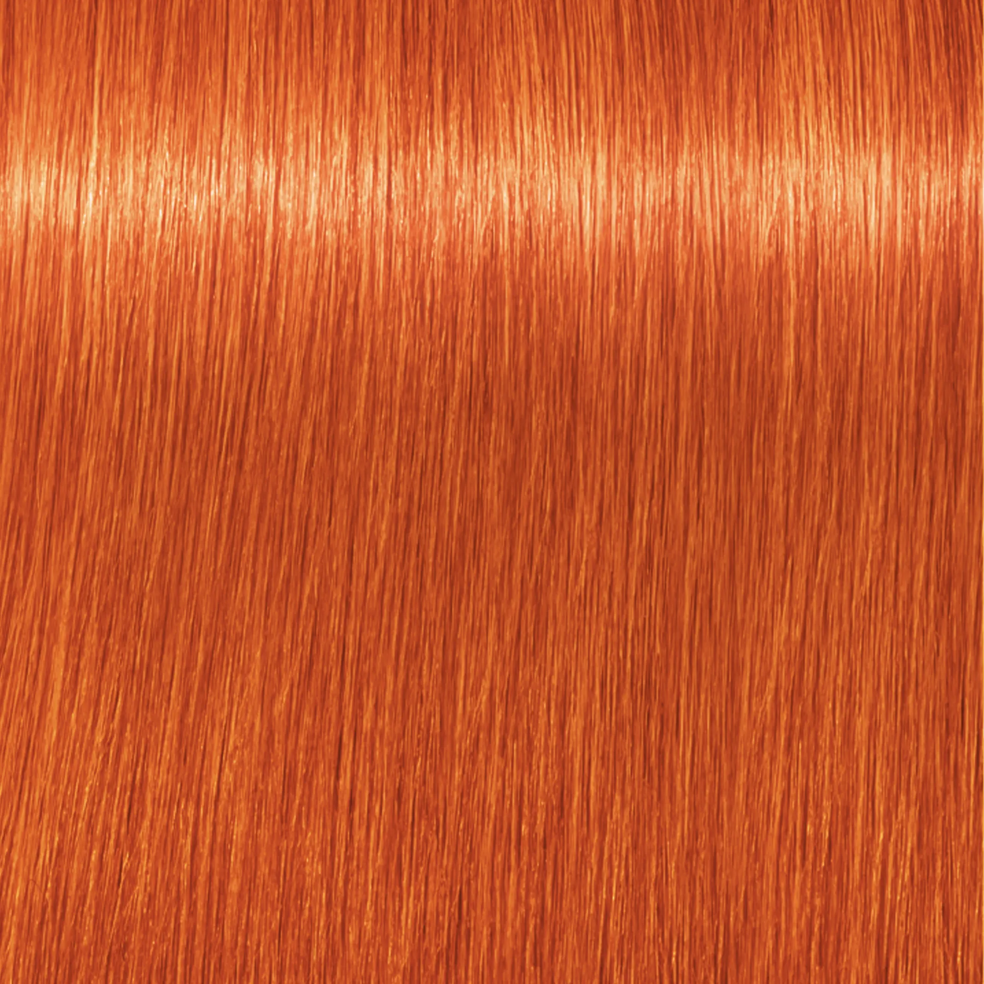 Schwarzkopf Igora Royal Mix - E-1 Rinforzatore Cendrè