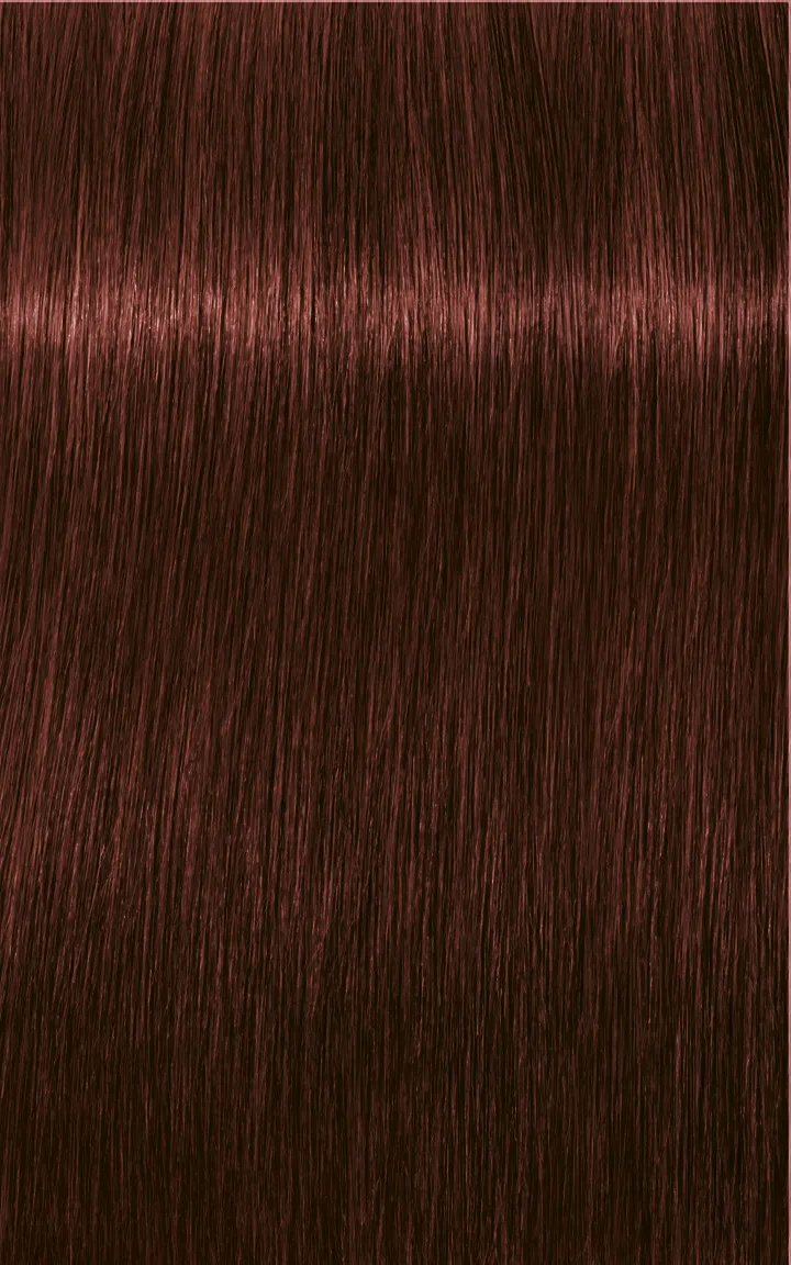 Schwarzkopf Igora Royal Absolutes - 4-60 Castano Medio Cioccolato Naturale