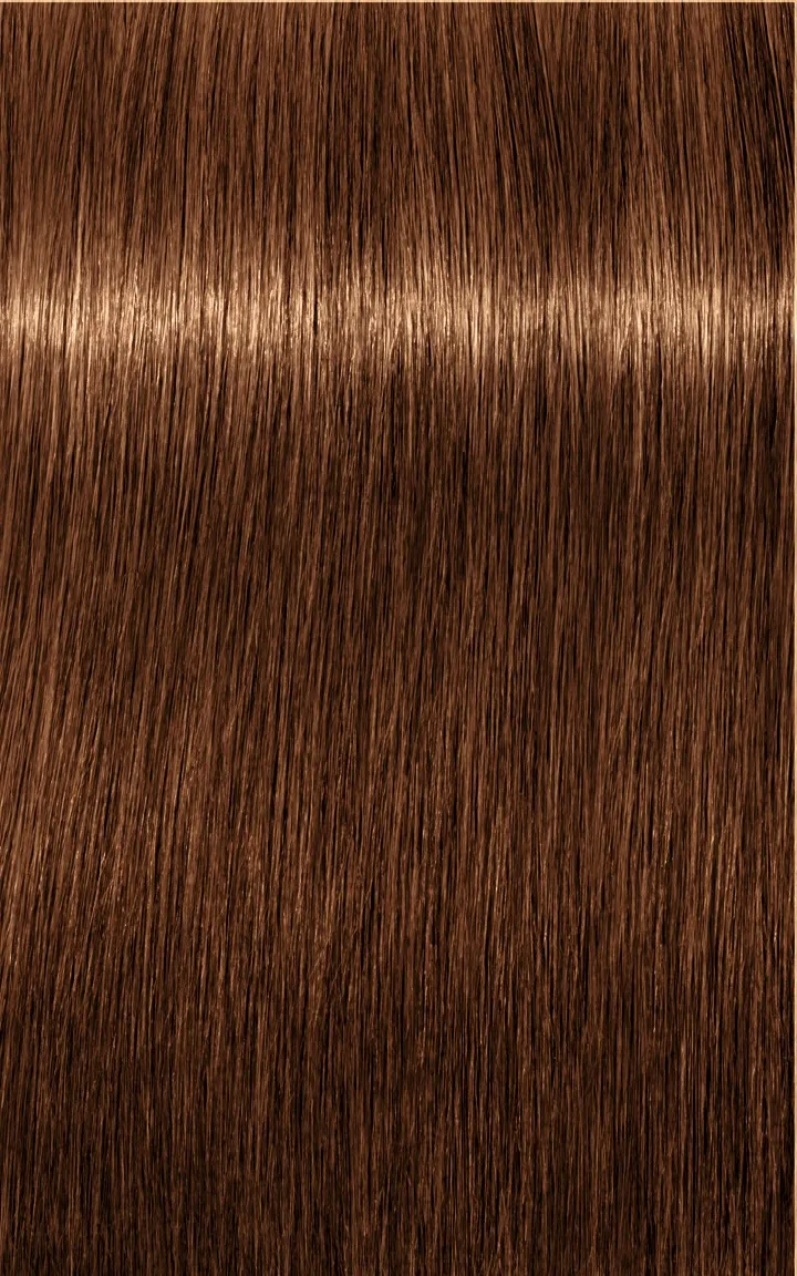 Schwarzkopf Igora Royal Absolutes - 4-60 Castano Medio Cioccolato Naturale