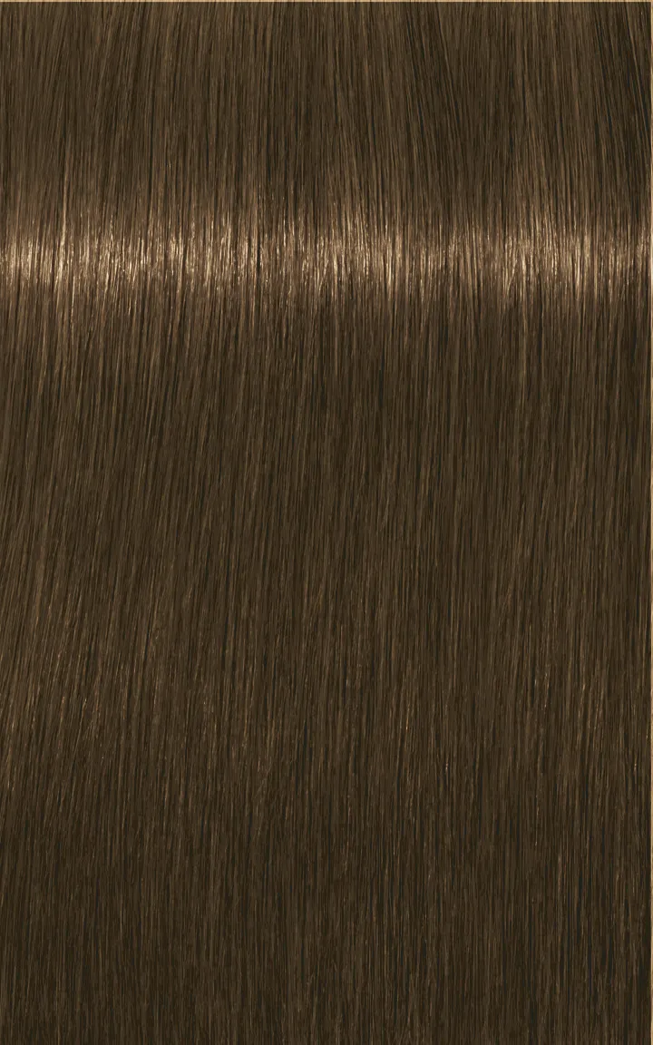 Schwarzkopf Igora Royal Absolutes - 4-60 Castano Medio Cioccolato Naturale