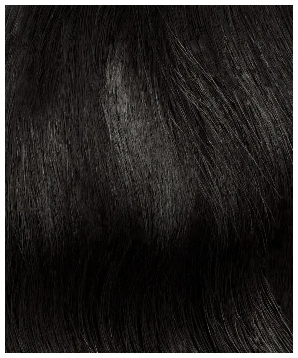 InterHair Extensions 35cm - Color 01