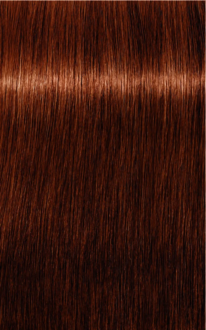 Schwarzkopf Igora Royal Absolutes - 4-60 Castano Medio Cioccolato Naturale