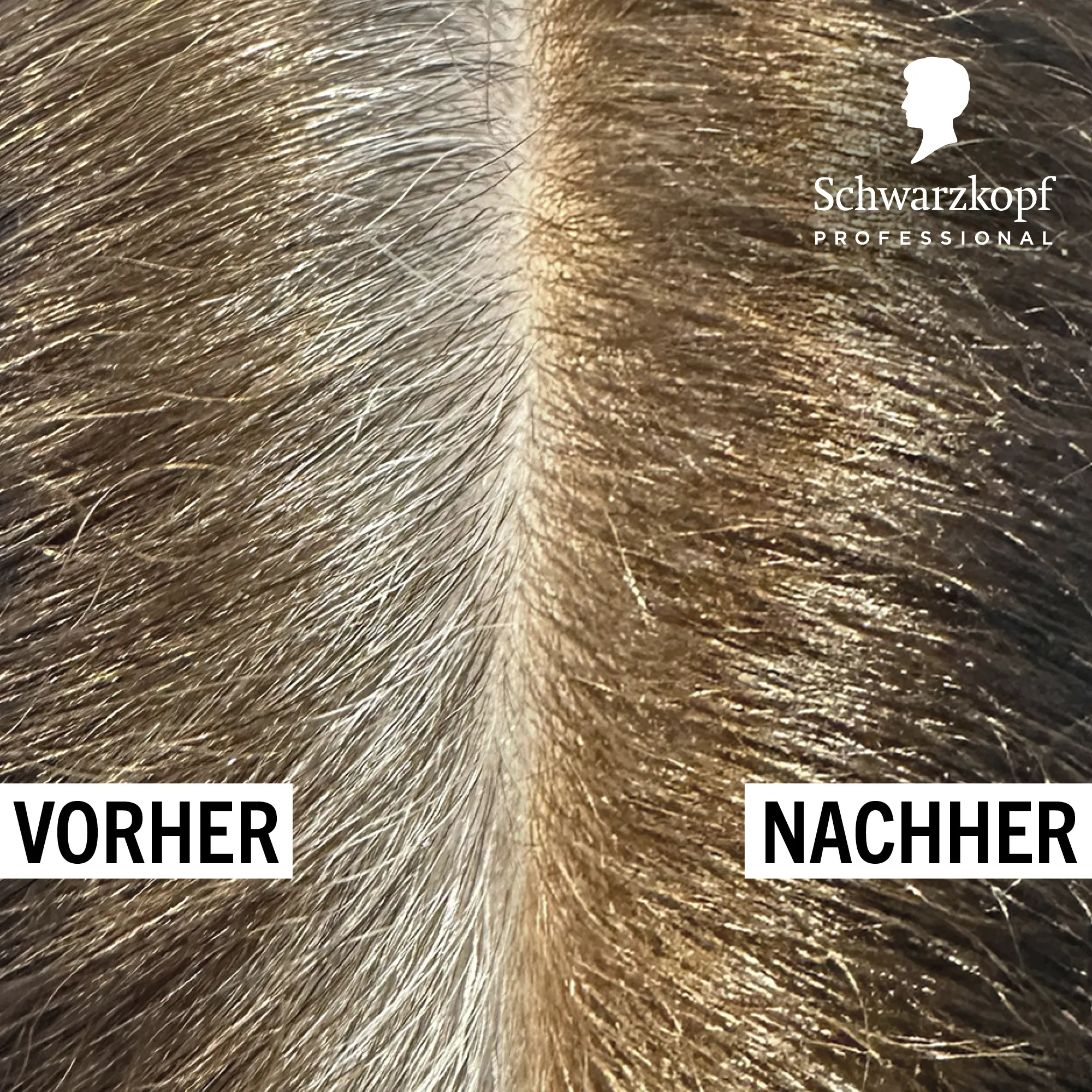 Schwarzkopf Igora Color10