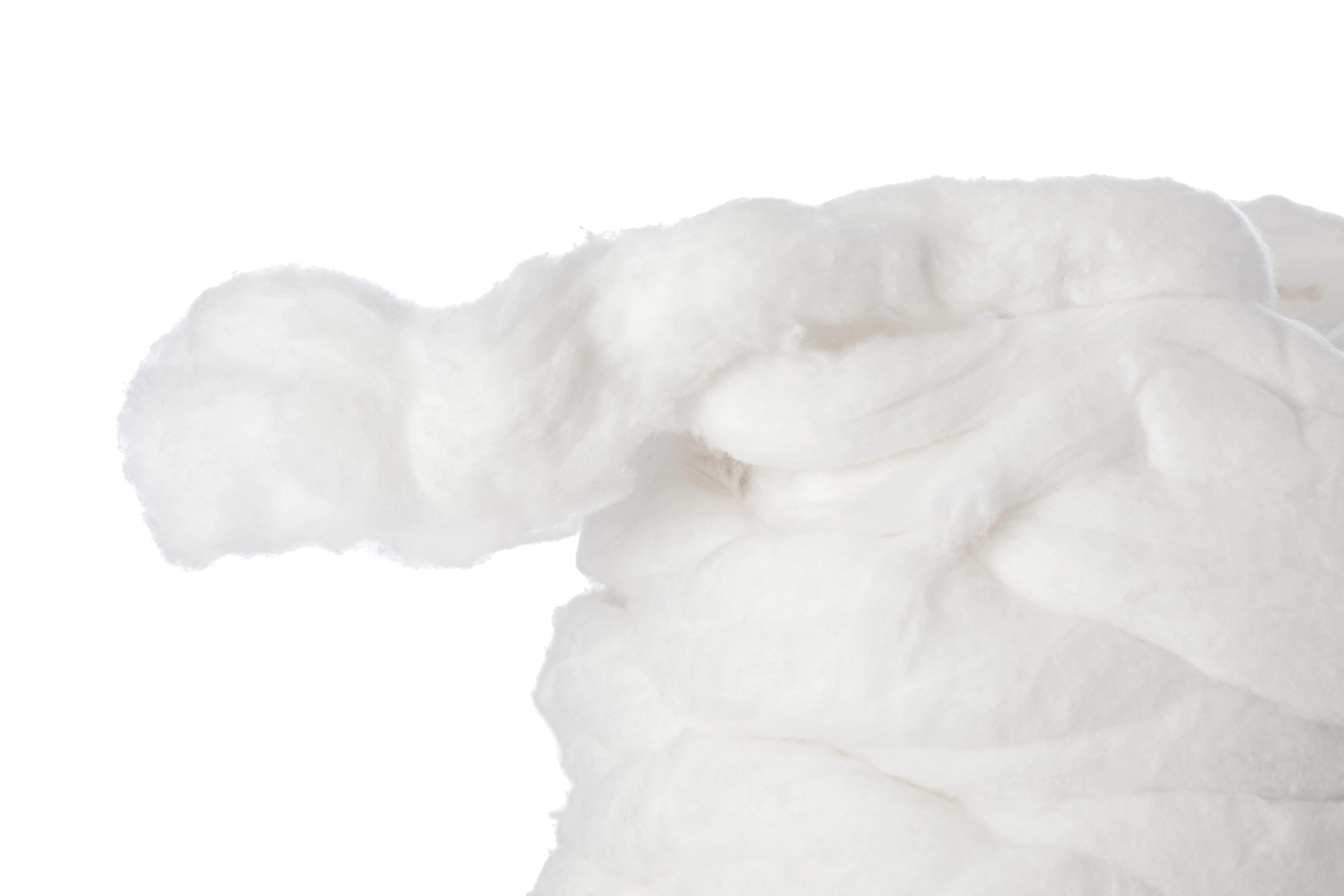 Xanitalia cordoncino di cotone assorbente 1000g