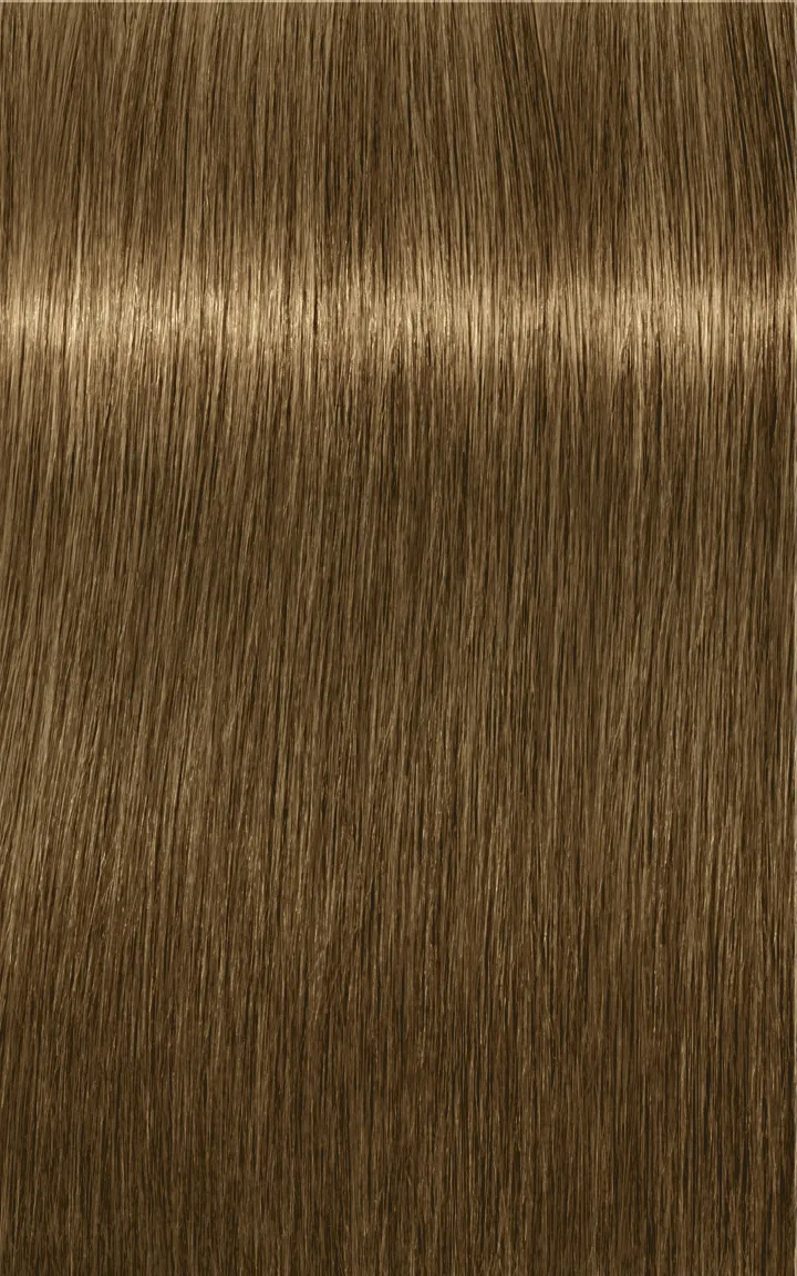 Schwarzkopf Igora Royal Absolutes - 4-60 Castano Medio Cioccolato Naturale