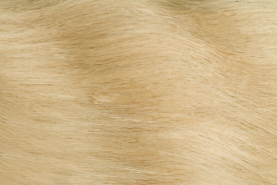 GoldFever Hair Tapes 45 cm