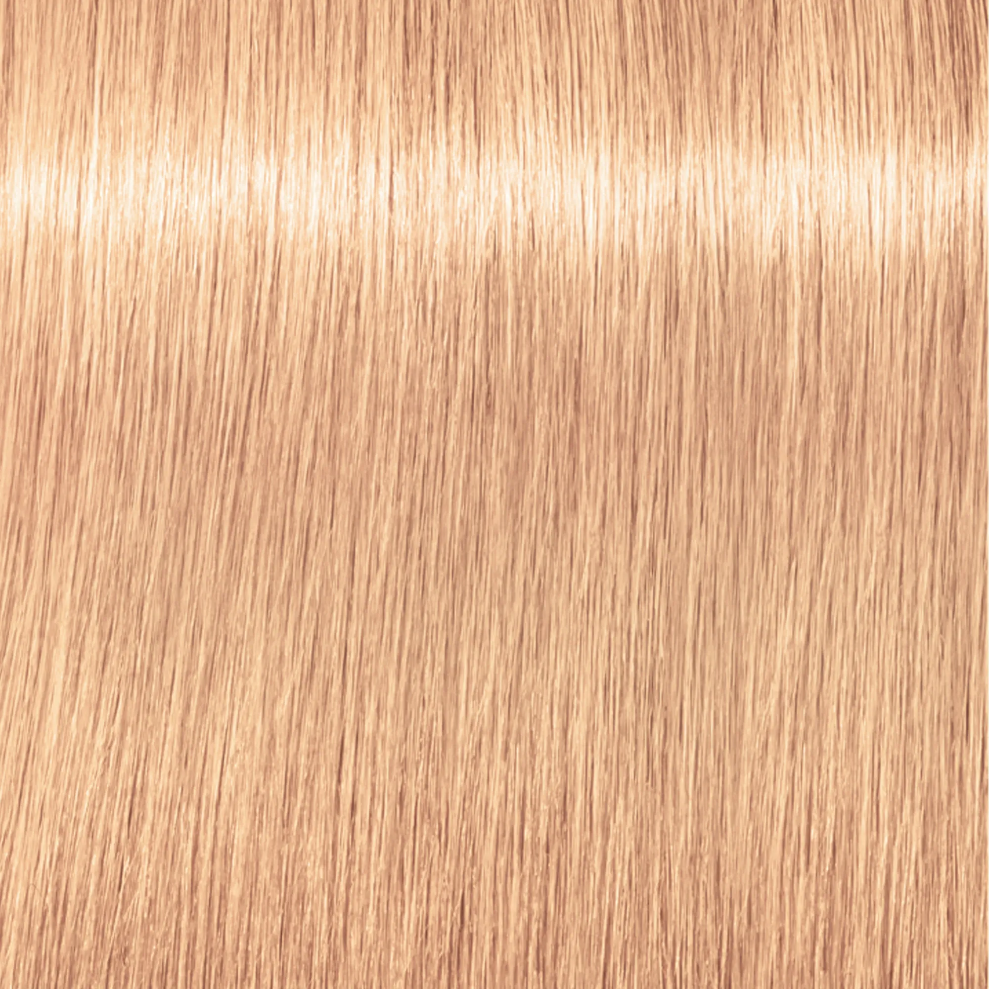 Schwarzkopf Igora Royal - 1-0 Nero