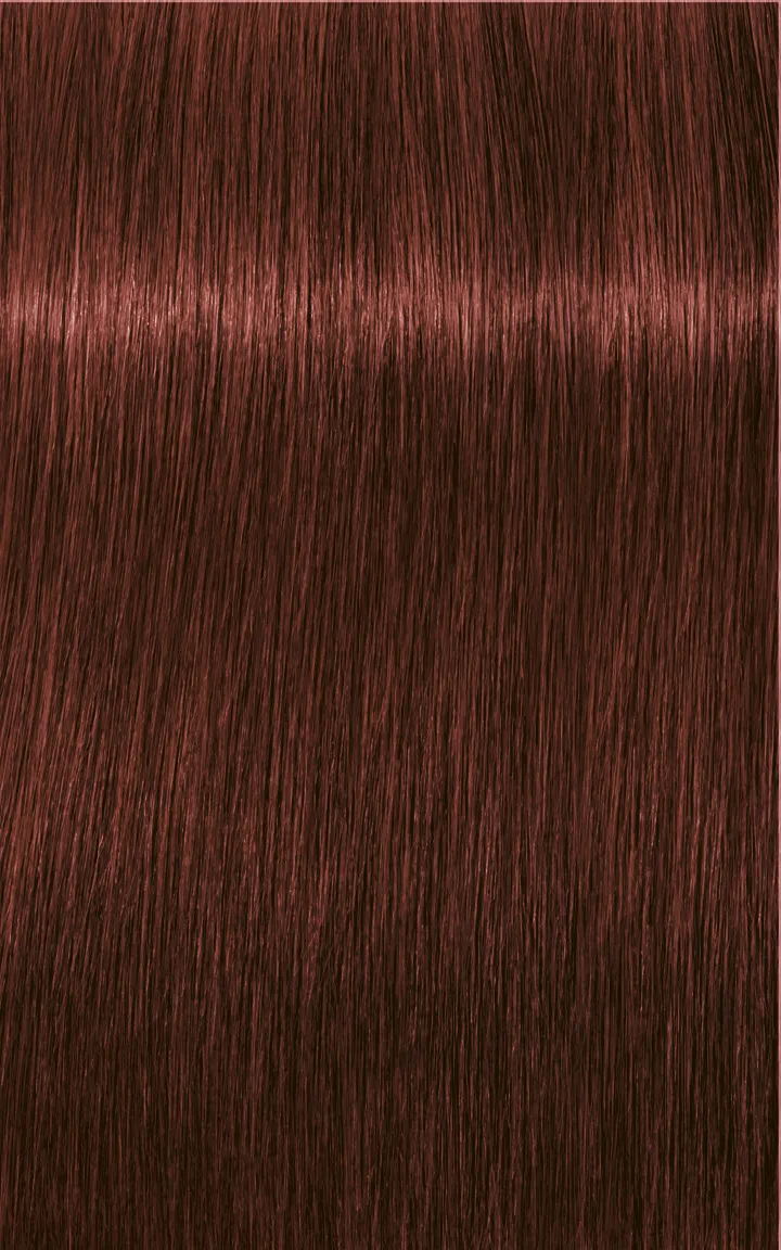 Schwarzkopf Igora Royal Absolutes - 4-60 Castano Medio Cioccolato Naturale
