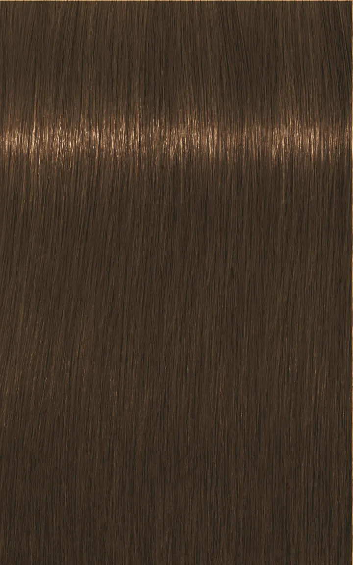 Schwarzkopf Igora Royal Absolutes - 4-60 Castano Medio Cioccolato Naturale