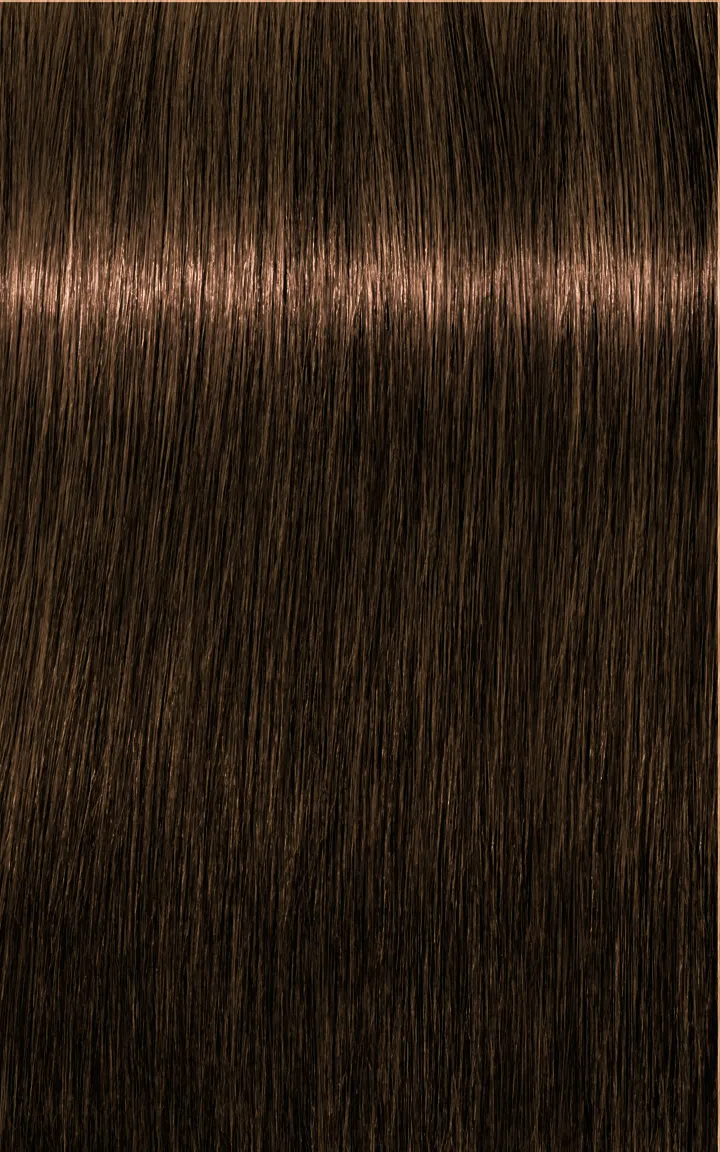 Schwarzkopf Igora Royal Absolutes - 4-60 Castano Medio Cioccolato Naturale