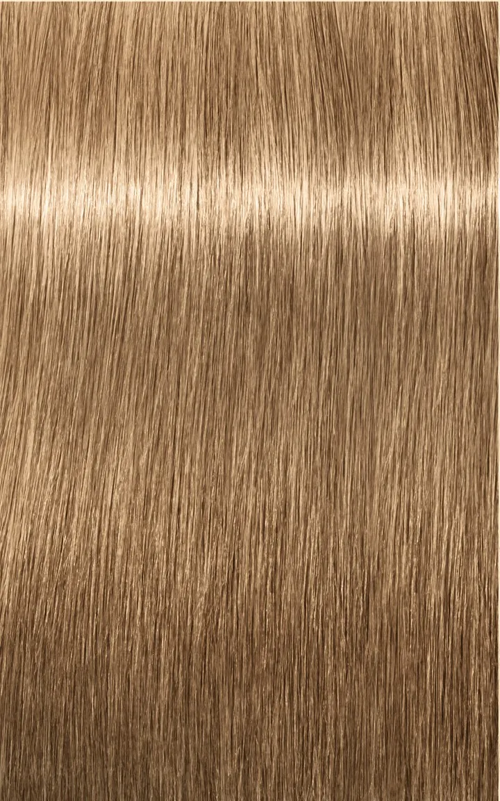 Schwarzkopf Igora Royal Absolutes - 4-60 Castano Medio Cioccolato Naturale