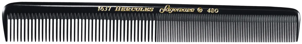 Hercules Sägemann pettine da taglio 1637-480
